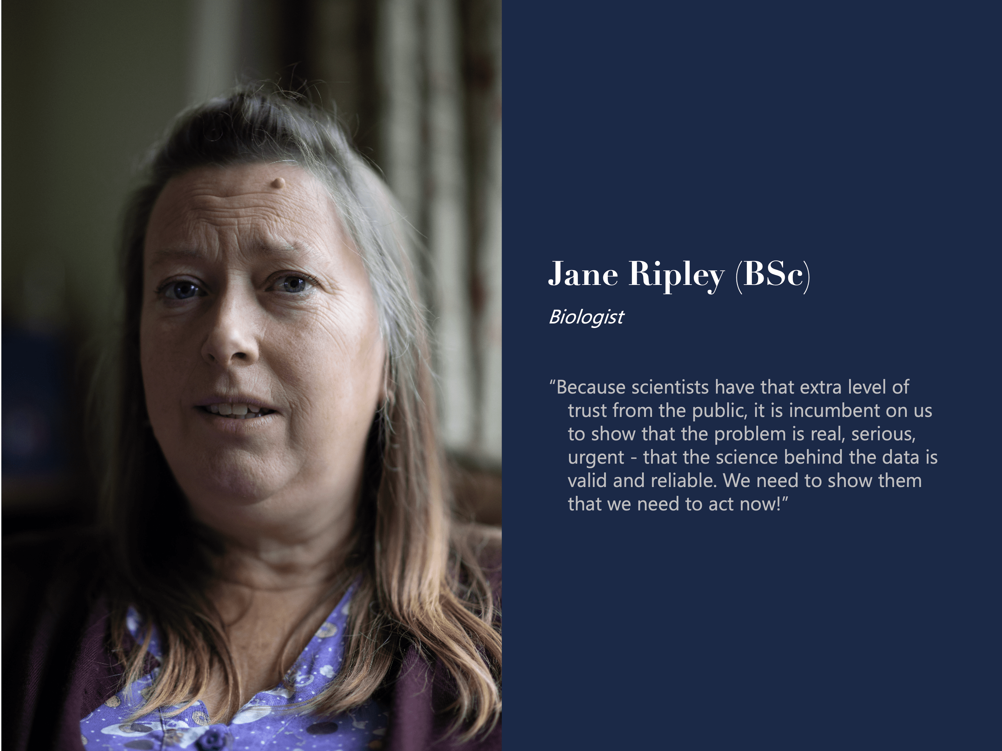Jane Ripley